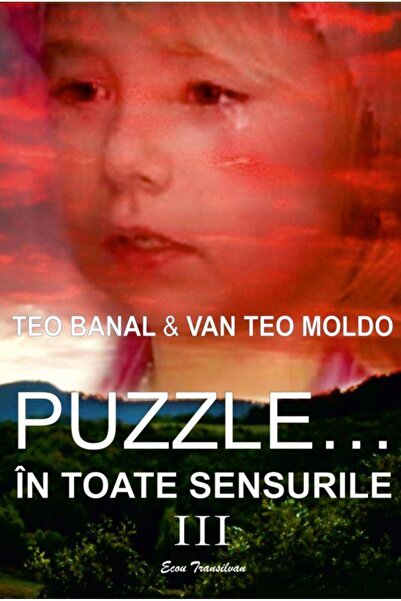 Editura Ecou Transilvan Puzzle... in toate sensurile Volumul III, Teo Banal