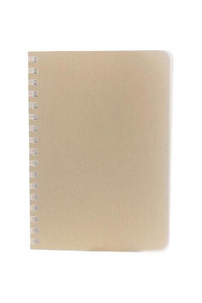 Roco Notebook – A6, 160 Pages, Lined, Plain Gold Cover