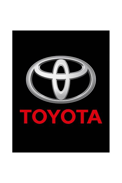 Z zepplin Toyata Text Logo Large Back Patch Patch