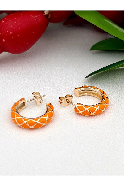 Siya Silver Mineli Çizgili Renkli Çelik Küpe