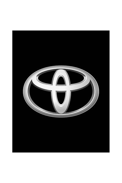 Z zepplin Patch mare pentru spate cu logo Toyota