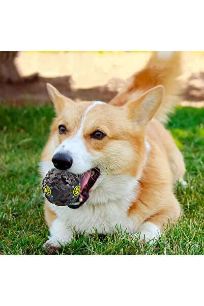 NO BRAND Jucarie minge, cu sunet de rata, pentru curatarea dintilor si joaca interactiva, negru, 12 cm