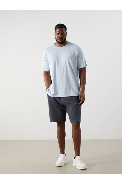 LC Waikiki Standard Fit Men's Shorts