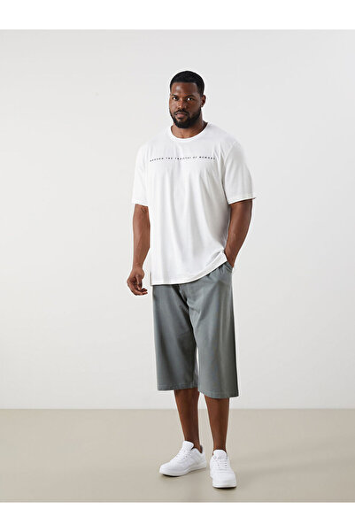 LC Waikiki Green Plus Size Standard Fit Men's Shorts