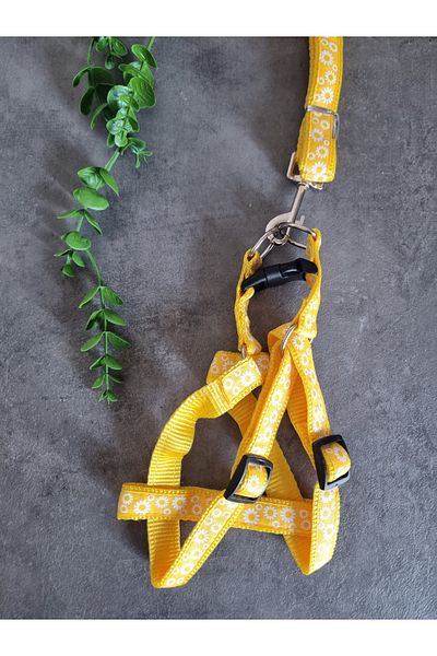 Pet Aksesuar Dog Chest Harness and Walking Leash Set 2 In1,2 Cm.Mixed Designs