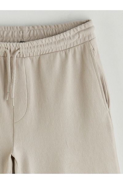 LC Waikiki Ανδρικό σορτς Standard Fit