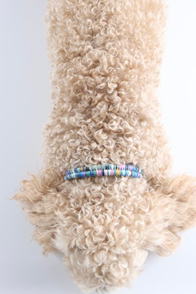 Winla Paws Evcil Hayvan Kedi Köpek Halka Uçlu Renkli El Yapımı Boyun Tasma