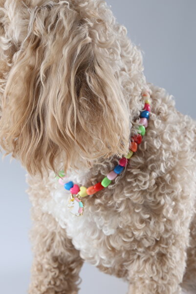 Winla Paws Evcil Hayvan Kedi Köpek Şık Sevimli Renkli El Yapımı Tasma Kolyeler