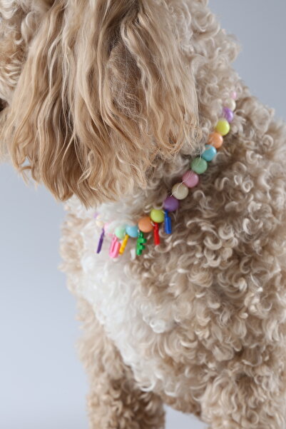 Winla Paws Evcil Hayvan Kedi Köpek Şık Sevimli Renkli El Yapımı Tasma Kolyeler