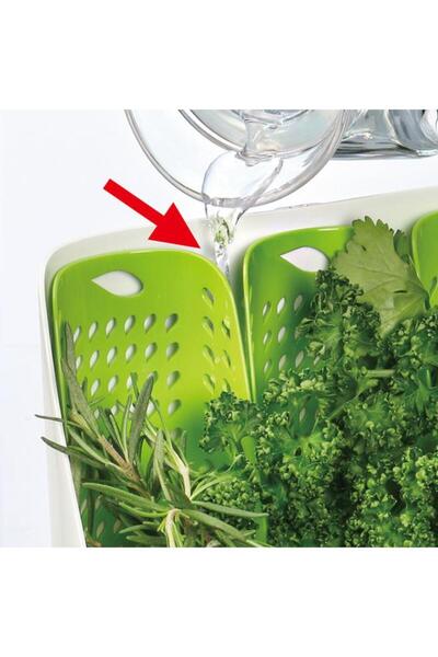 Generic Felli Trio All in One Freezer Safe Fresh Herb Snap Closure Storage Container White and Green