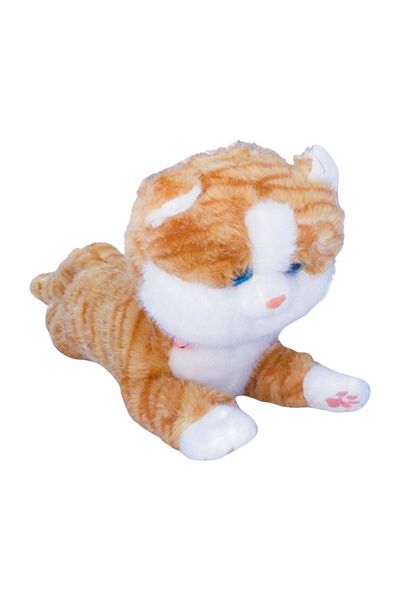 AZAF Cat Plush Toy