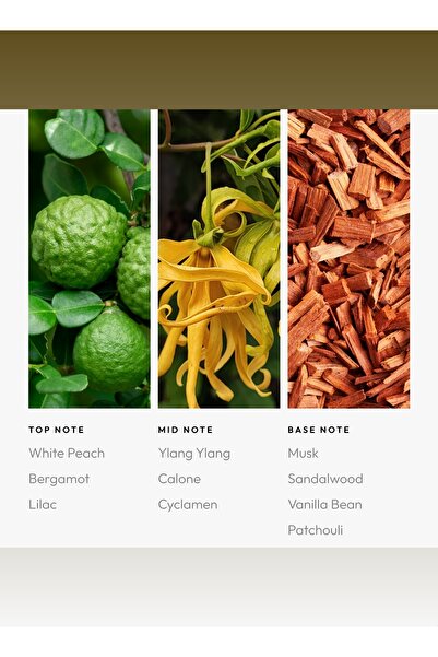 Aroma360 زيت موزع سموذ أوبيريتور برو-بود - أرجواني، خشب الصندل، وباتشولي - 50 مل، 1.7 أونصة سائلة