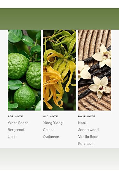 Aroma360 زيت معطر جو سموث أوبيريتور - أرجواني، خشب الصندل، وباتشولي - ١٢٠ مل، ٤.١ أونصة سائلة