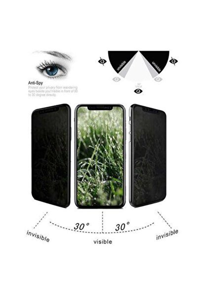 OEM Προστατευτική μεμβράνη Privacy Anti-Spy, γυαλί 9H, για iPhone XR