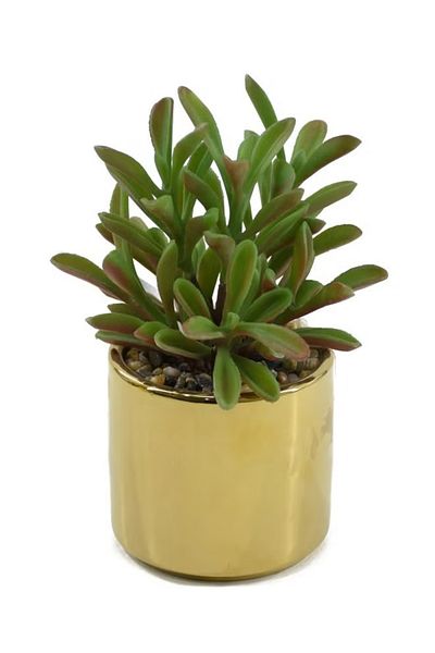 DRAMA HOME Artificial Succulent Plant for Home Decor Artificial Indoor Plants in Gold Ceramic Pot