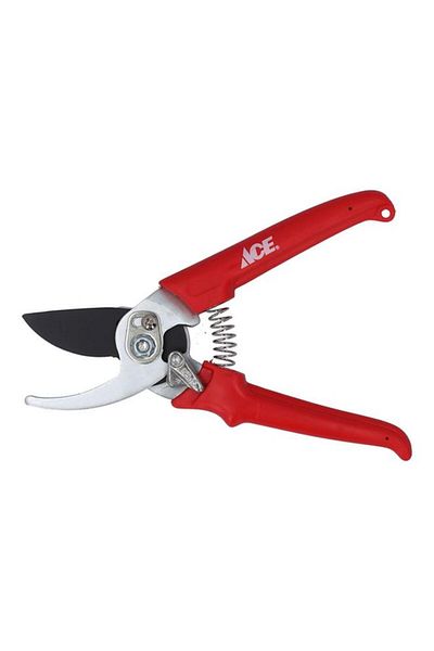 Generic ACE Bypass Pruner