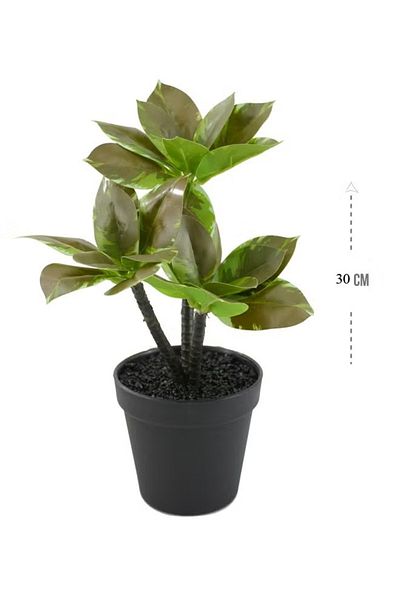 DRAMA HOME Artificial plant for home decoration 30cm