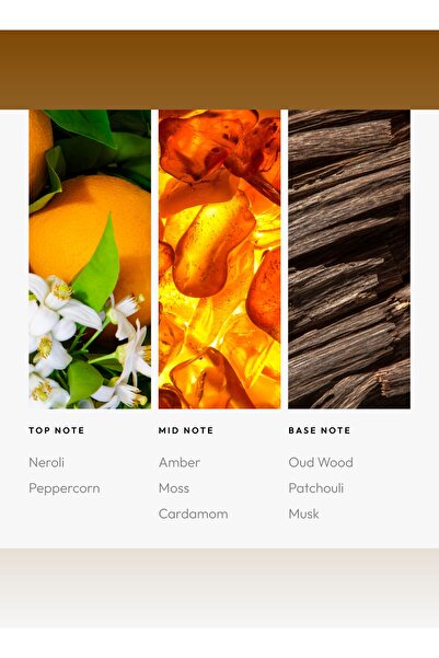 Aroma360 عطر أرجواني للجنسين - روائح النيرولي والباتشولي والفلفل والهيل - 200 مل