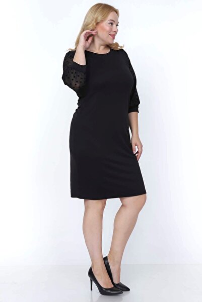 sharin Women's Plus Size Black Midi Length Crew Neck Dress 12m-2332