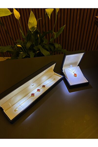 ADA LİFE GÜMÜŞ (PREMİUM IŞIKLI KUTU)925 Ayar Gümüş 18ayar Gold Kaplama Bordo ...