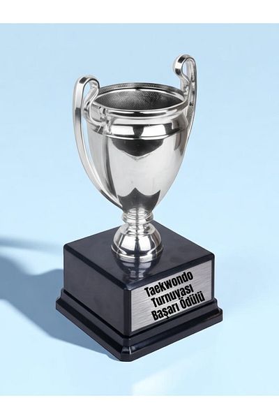 lili hediyelik Taekwondo Taekwondo Tournament Achievement Award Championship Award Trophy 23cm Tournament Gift