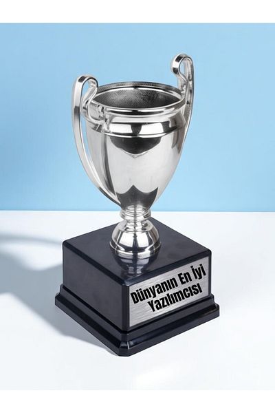 lili hediyelik World's Best Software Developer Award Winner 23cm Championship Trophy Gift for Software Developer