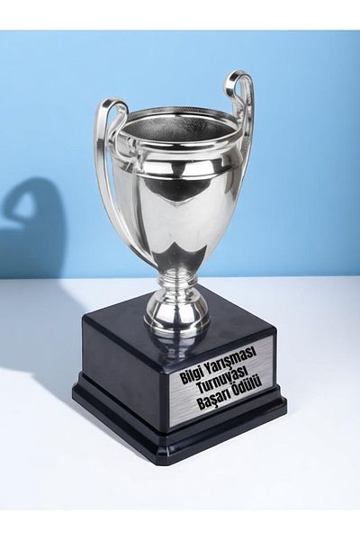 lili hediyelik Quiz Contest Tournament Achievement Award Championship Reward Trophy 23cm Tournament Gift