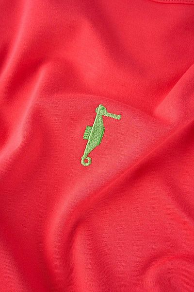 WWF Market Sea Horse Oversize Premium T-Shirt - Pomegranate Flower