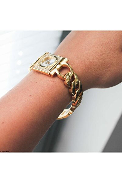 Fiesta Fs600859 Women's Wrist Watch with Steel Band