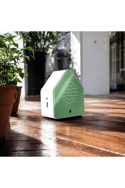 OEM Ambient Sound Audio Box, Nightingale Green, Motion Sensor, Usb-c Charging