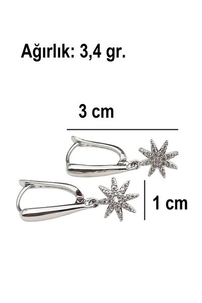 Siya Silver Zircon Stone Dangle Steel Star Earrings