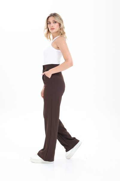 Pientro Women's Line Lycra Zipper Closure Pleated Brown Palazzo Trousers