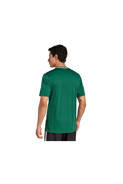 adidas Campeon25 Jsy m Men's Soccer Training Jersey Jf6063 Green