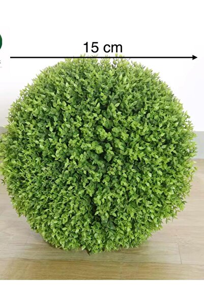 VEAL STORE DEKORATİF 15 CM OKALİPTUS ŞİMŞİR TOP