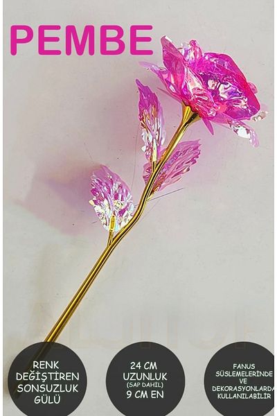 DEFORA Δώρο ροζ ροζ Infinity Rose Hologram που αλλάζει χρώμα
