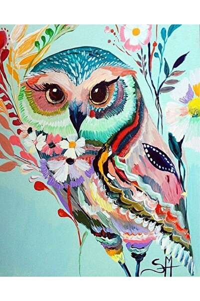 Pastelya Sayılarla Boyama Seti Çerçeveli Kasnaklı Desenli Baykuş 40x50 cm