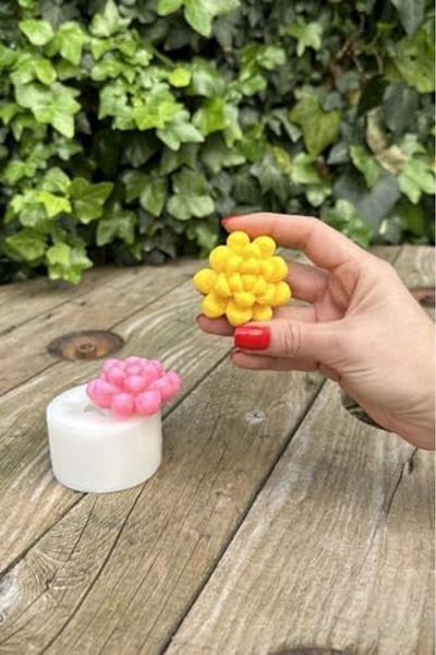 STOREMAX Ntwork Concept Obtusa Succulent Candle Mold (Silicone) Art 1087243