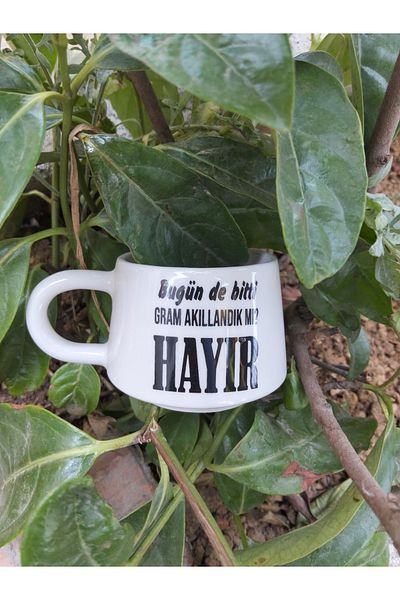 Home Coffee Cup "Today Too, Did We Get the Grams No"