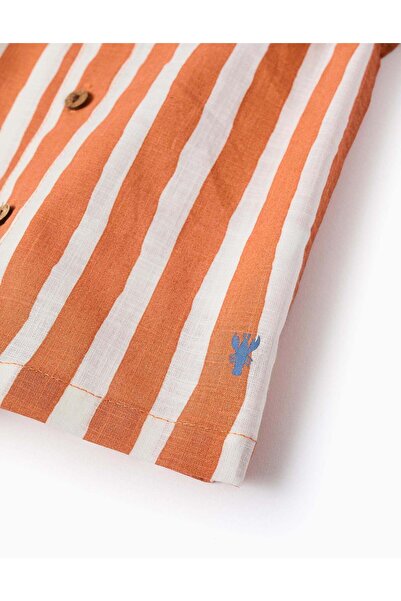 Ziddy Cotton Striped Shirt for Baby Boys, Orange/White