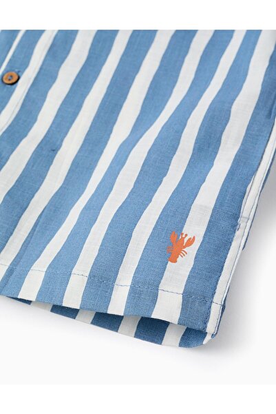 Ziddy Cotton Shirt Striped Pattern for Boys, Blue/White
