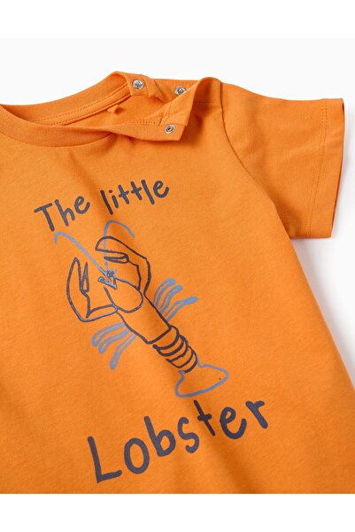 Ziddy Pack of 2 Cotton T-shirts for Baby Boys 'Oh, Crab', Blue/Orange