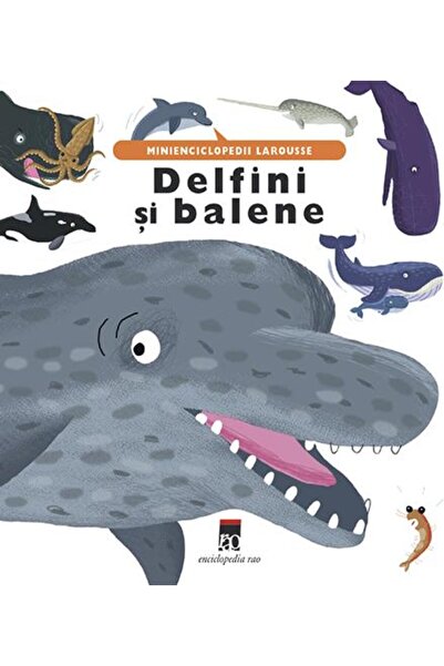 Editura Rao Books Delfini si balene, Larousse