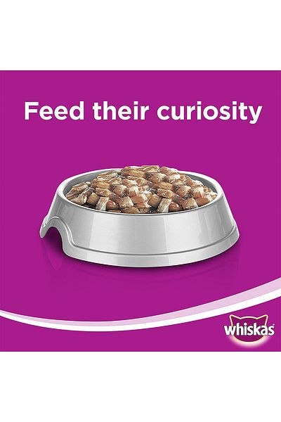 Whiskas Ocean Fish Value Pack Cat Food Pouch - 80 g - Pack of 12