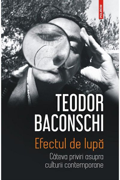 Editura Polirom The magnifying glass effect. Some insights into co-culture