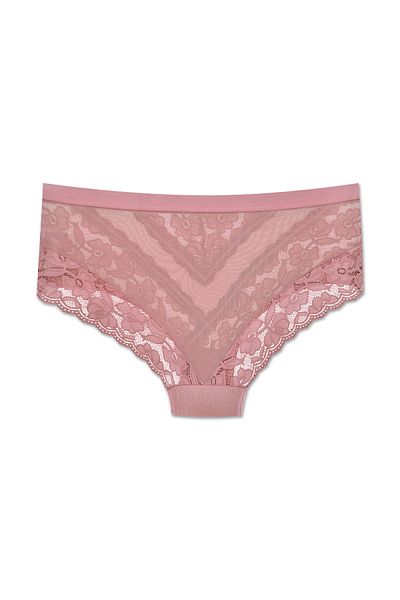 ZENA UNDERWEAR Lace Tulle Detailed Elastic High Waist Plus Size Women's Panties