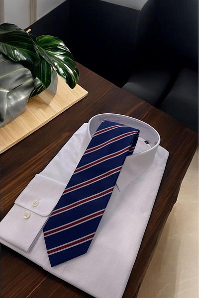 Sarar Navy Blue Burgundy Striped Micro Tie