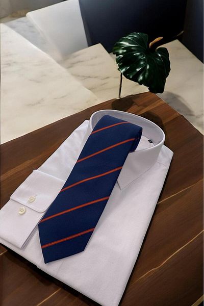 Sarar Navy Blue Orange Striped Micro Tie