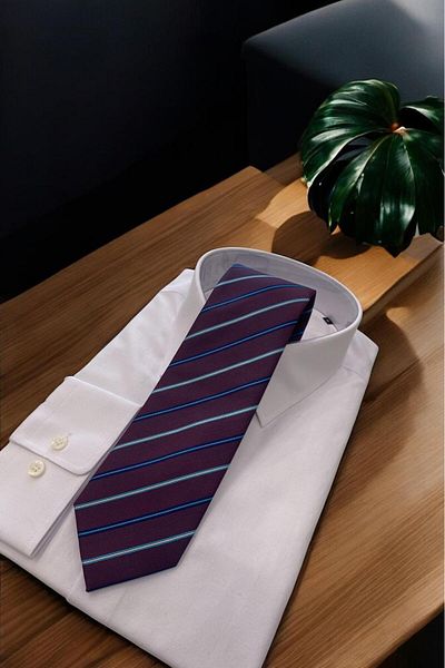 Sarar Burgundy Blue Striped Micro Tie