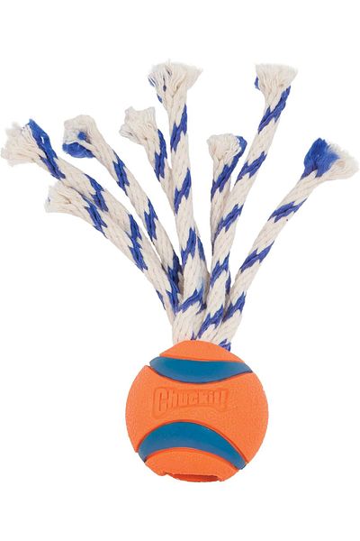 Petmate Chuckit! Ultra Toss Small