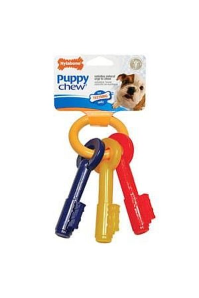 Nylabone Nylabone Puppy Chew Teething Keys, Bacon Petite Nylon Chews